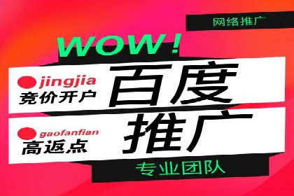 SEM服务公司助力电商增长案例